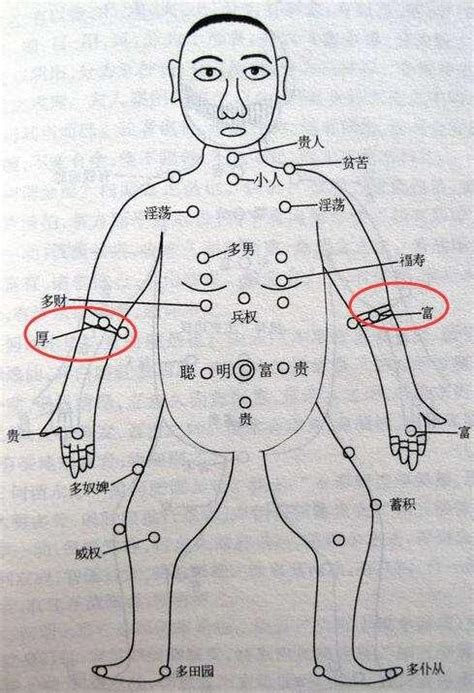 手臂七星痣|【北斗七星痣手臂】北斗七星痣手臂：手臂上的秘密圖騰，揭開你。